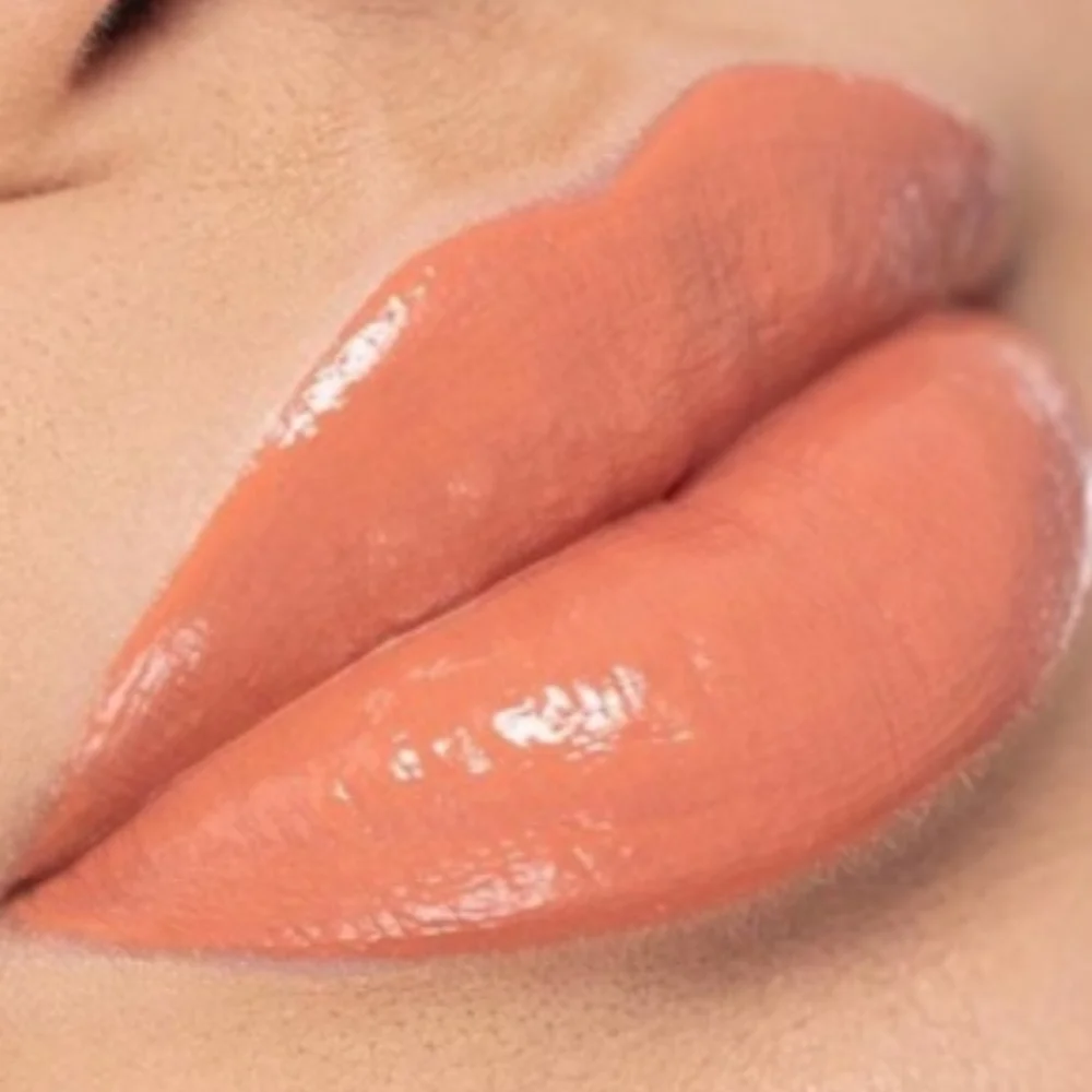 🧚‍♀️NUDE PEACH Anastasia Beverly Hills DISCONTINUED Lip Gloss NWOBOX